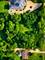 19990 Crawford, Matteson, IL 60443