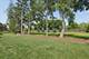 548 Council, Vernon Hills, IL 60061