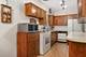 528 Ames, Libertyville, IL 60048