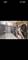 2005 Valencia Unit 306D, Northbrook, IL 60062