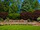 83 Thornhill Unit B, Lake Barrington, IL 60010