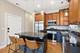 2151 W Warren Unit 2, Chicago, IL 60612