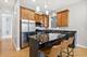 2151 W Warren Unit 2, Chicago, IL 60612