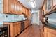 22 Park Unit 111, Park Ridge, IL 60068