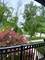 1052 Margret, Des Plaines, IL 60016