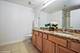 1305 S Michigan Unit 1108, Chicago, IL 60605