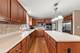 13521 Arborview, Plainfield, IL 60585