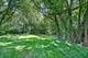 5631 S Elm, Hinsdale, IL 60521