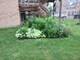 1449 - 51 W Garfield, Chicago, IL 60636