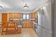 11030 S Theresa Unit 3A, Palos Hills, IL 60465