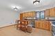11030 S Theresa Unit 3A, Palos Hills, IL 60465