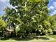 361 S Quentin, Palatine, IL 60067