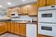 21242 Georgetown, Frankfort, IL 60423