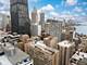 850 N Dewitt Unit 13E, Chicago, IL 60611