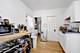 5037 W Winona, Chicago, IL 60630