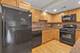 7707 Westwood Unit 1B, Elmwood Park, IL 60707