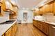 1112 S Home, Park Ridge, IL 60068