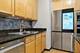 1530 S State Unit 907, Chicago, IL 60605