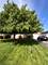 5224 Wolf, Western Springs, IL 60558