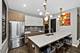 3918 S King Unit 1S, Chicago, IL 60653
