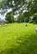 1342 N Winslowe, Palatine, IL 60074