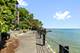 1321 W Birchwood Unit 206, Chicago, IL 60626