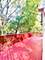 436 Cambridge, Bolingbrook, IL 60440