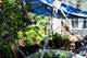 6315 S Troy, Chicago, IL 60629