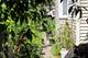 6315 S Troy, Chicago, IL 60629