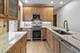 1648 N St Louis Unit 2, Chicago, IL 60647