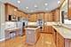 10 Eagle Ridge, Hawthorn Woods, IL 60047