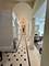 528 Roslyn, Kenilworth, IL 60043