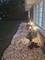 4720 183rd, Country Club Hills, IL 60478