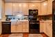 1761 Pavilion Unit 503, Park Ridge, IL 60068