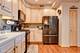 1761 Pavilion Unit 503, Park Ridge, IL 60068