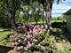 118 Willow, Park Forest, IL 60466