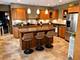244 Des Plaines, Forest Park, IL 60130