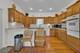 523 E 89th, Chicago, IL 60619