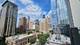 744 N Clark Unit 905, Chicago, IL 60654