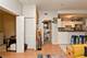 1927 W Schiller Unit CH1, Chicago, IL 60622