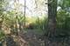 120 N Rainbow, North Barrington, IL 60010