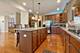 391 Lake Run, North Aurora, IL 60542