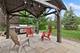 391 Lake Run, North Aurora, IL 60542