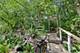 442 Harbor, Carpentersville, IL 60110