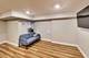 3623 S Emerald, Chicago, IL 60609