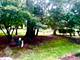 2407 Stoughton Unit 2407, Aurora, IL 60502