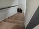 3253 N Oconto, Chicago, IL 60634