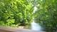 311 North, Naperville, IL 60540