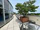 1222 Chicago Unit 402, Evanston, IL 60202