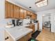 949 Charlela, Elk Grove Village, IL 60007